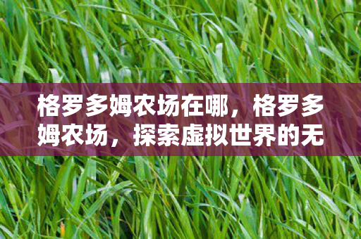 格罗多姆农场在哪,格罗多姆农场,探索虚拟世界的无限可能 格罗多姆农场在哪,格罗多姆农场,探索虚拟世界的无限可能