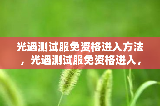 光遇测试服免资格进入方法，光遇测试服免资格进入，探索未知，无需门槛