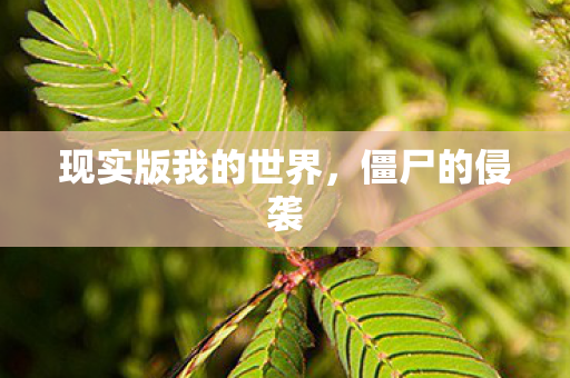 现实版我的世界，僵尸的侵袭