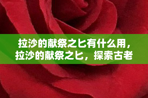 拉沙的献祭之匕有什么用，拉沙的献祭之匕，探索古老传说中的神秘武器