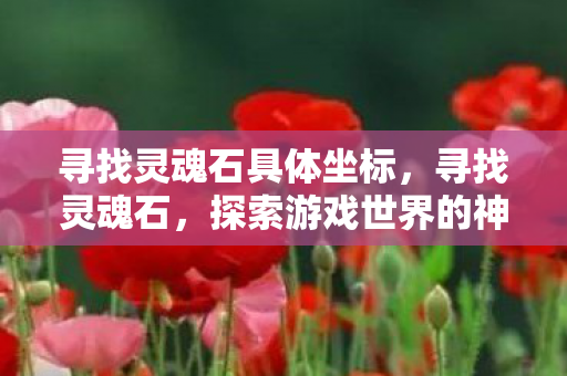 寻找灵魂石具体坐标,寻找灵魂石,探索游戏世界的神秘宝藏 寻找灵魂石具体坐标,寻找灵魂石,探索游戏世界的神秘宝藏