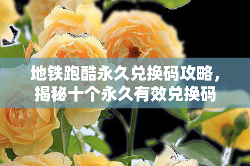 地铁跑酷永久兑换码攻略，揭秘十个永久有效兑换码