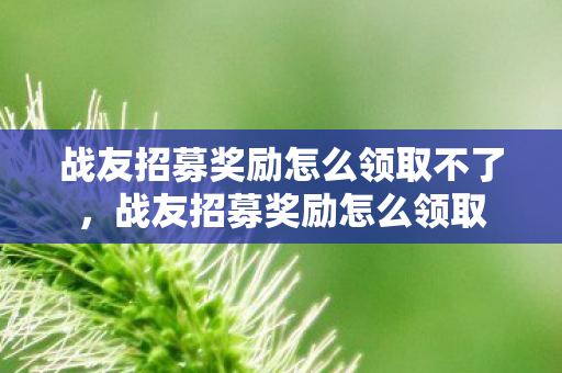 战友招募奖励怎么领取不了,战友招募奖励怎么领取 战友招募奖励怎么领取不了,战友招募奖励怎么领取