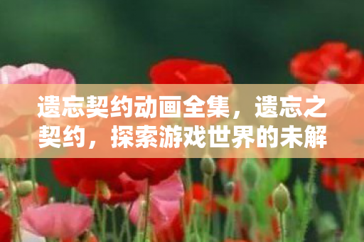 遗忘契约动画全集，遗忘之契约，探索游戏世界的未解之谜