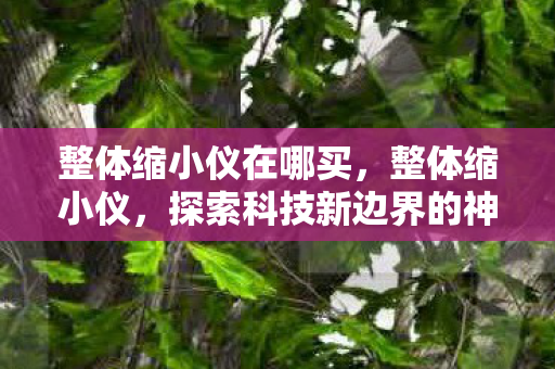 整体缩小仪在哪买，整体缩小仪，探索科技新边界的神奇工具
