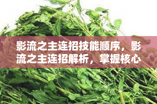 影流之主连招技能顺序，影流之主连招解析，掌握核心技巧，提升实战效率