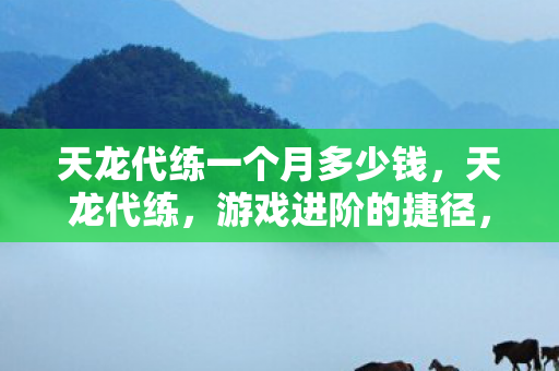 天龙代练一个月多少钱，天龙代练，游戏进阶的捷径，还是深坑？