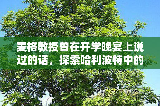 麦格教授曾在开学晚宴上说过的话，探索哈利波特中的魔法世界，麦格教授的开学晚宴教诲