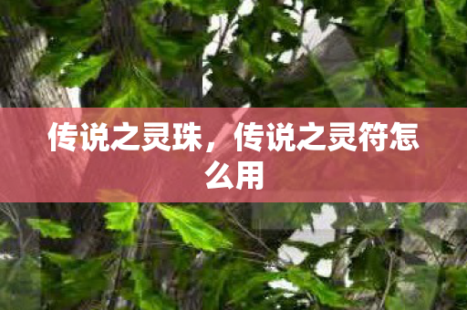 传说之灵珠，传说之灵符怎么用