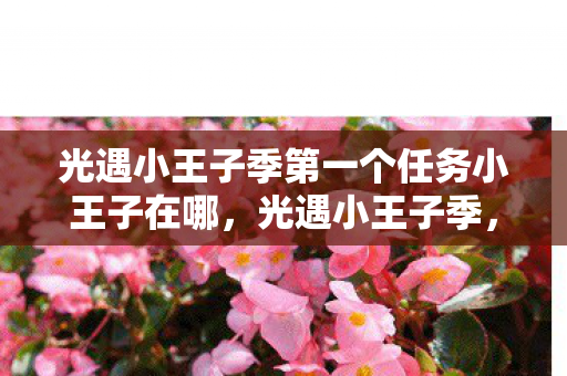 光遇小王子季第一个任务小王子在哪，光遇小王子季，启程之旅的奥秘