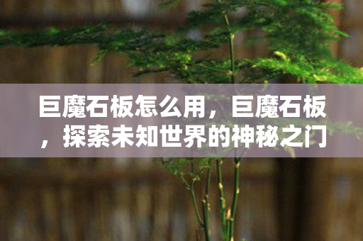 巨魔石板怎么用，巨魔石板，探索未知世界的神秘之门