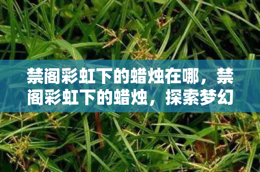 禁阁彩虹下的蜡烛在哪，禁阁彩虹下的蜡烛，探索梦幻世界的奇妙之旅