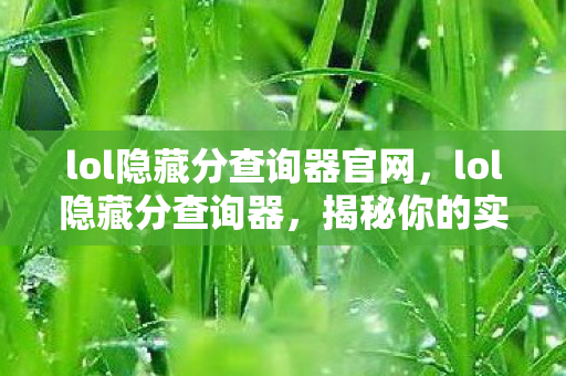 lol隐藏分查询器官网，lol隐藏分查询器，揭秘你的实力与段位匹配度