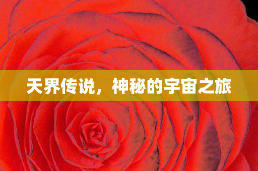 天界传说，神秘的宇宙之旅