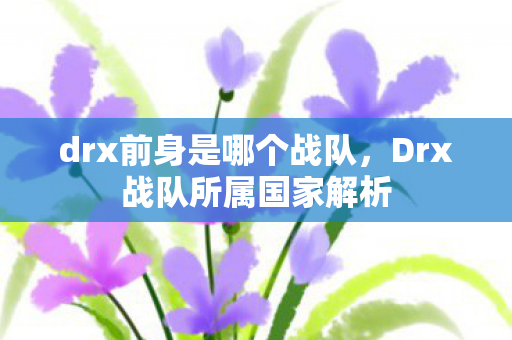 drx前身是哪个战队,Drx战队所属国家解析 drx前身是哪个战队,Drx战队所属国家解析