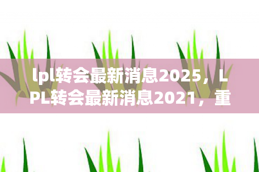 lpl转会最新消息2025，LPL转会最新消息2021，重磅引援与阵容调整