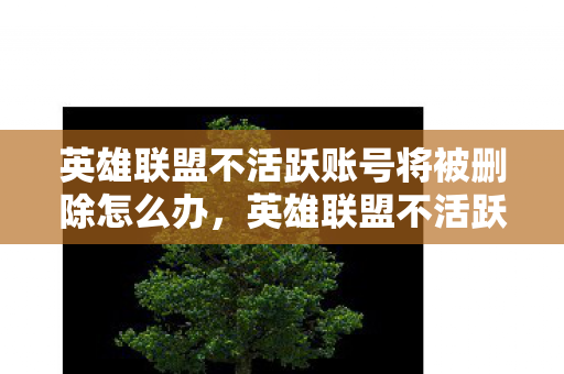 英雄联盟不活跃账号将被删除怎么办，英雄联盟不活跃账号将被删除，优化用户体验，保障游戏公平性