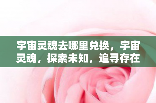 宇宙灵魂去哪里兑换，宇宙灵魂，探索未知，追寻存在的意义