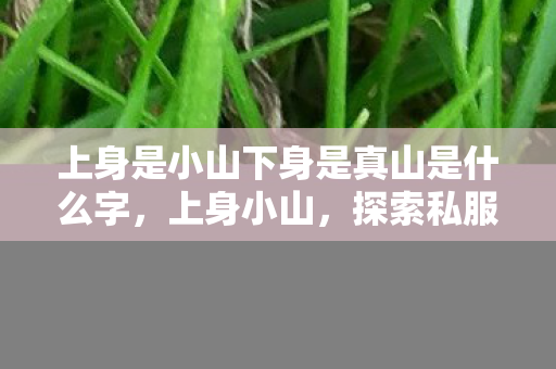 上身是小山下身是真山是什么字,上身小山,探索私服世界的奇妙之旅 上身是小山下身是真山是什么字,上身小山,探索私服世界的奇妙之旅
