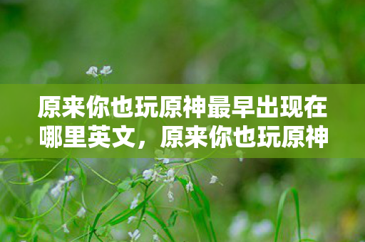 原来你也玩原神最早出现在哪里英文，原来你也玩原神，探寻游戏文化的起源与扩散