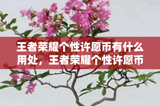 王者荣耀个性许愿币有什么用处，王者荣耀个性许愿币有什么用