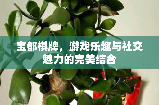 宝都棋牌，游戏乐趣与社交魅力的完美结合
