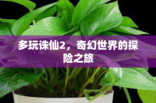 多玩诛仙2，奇幻世界的探险之旅