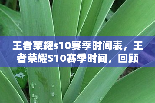 王者荣耀s10赛季时间表，王者荣耀S10赛季时间，回顾与展望