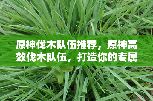 原神伐木队伍推荐，原神高效伐木队伍，打造你的专属资源采集阵容