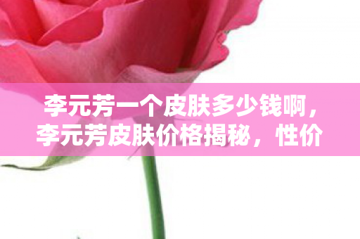 李元芳一个皮肤多少钱啊，李元芳皮肤价格揭秘，性价比与收藏价值并存