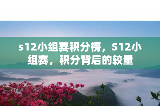 s12小组赛积分榜，S12小组赛，积分背后的较量