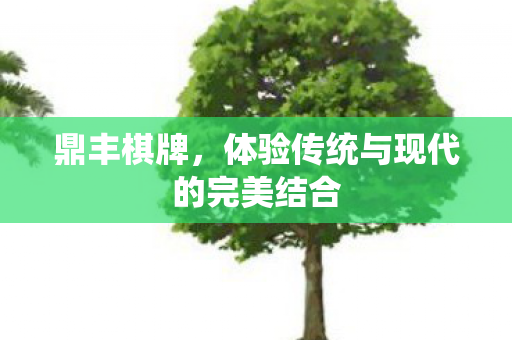 鼎丰棋牌，体验传统与现代的完美结合