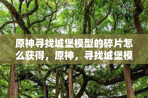 原神寻找城堡模型的碎片怎么获得，原神，寻找城堡模型的碎片