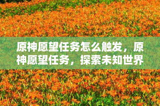 原神愿望任务怎么触发，原神愿望任务，探索未知世界的奇妙之旅