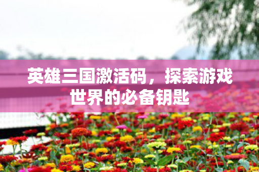 英雄三国激活码，探索游戏世界的必备钥匙