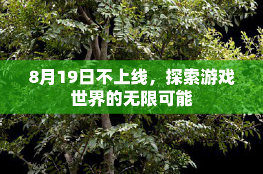 8月19日不上线，探索游戏世界的无限可能