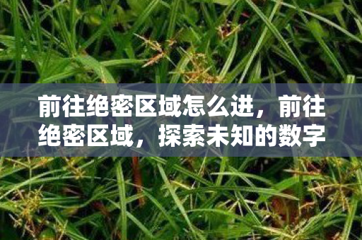 前往绝密区域怎么进，前往绝密区域，探索未知的数字世界