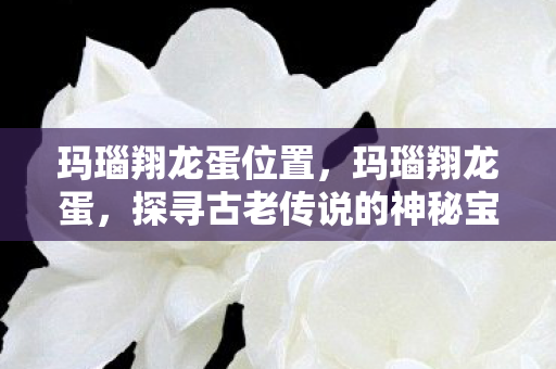 玛瑙翔龙蛋位置，玛瑙翔龙蛋，探寻古老传说的神秘宝藏