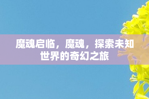 魔魂启临，魔魂，探索未知世界的奇幻之旅