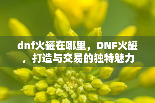 dnf火罐在哪里，DNF火罐，打造与交易的独特魅力