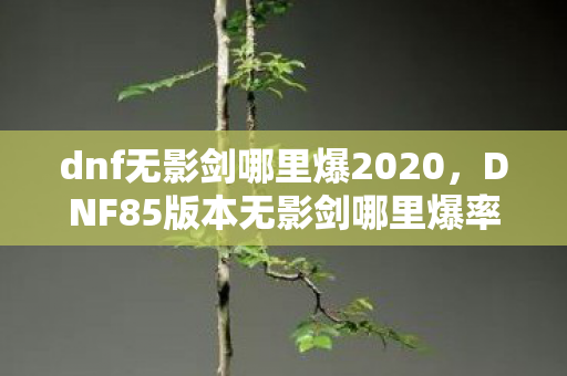 dnf无影剑哪里爆2020，DNF85版本无影剑哪里爆率高，揭秘高效获取途径