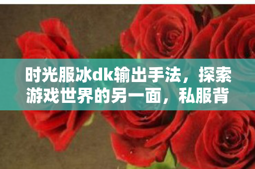 时光服冰dk输出手法，探索游戏世界的另一面，私服背后的故事