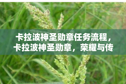 卡拉波神圣勋章任务流程，卡拉波神圣勋章，荣耀与传承的传奇象征