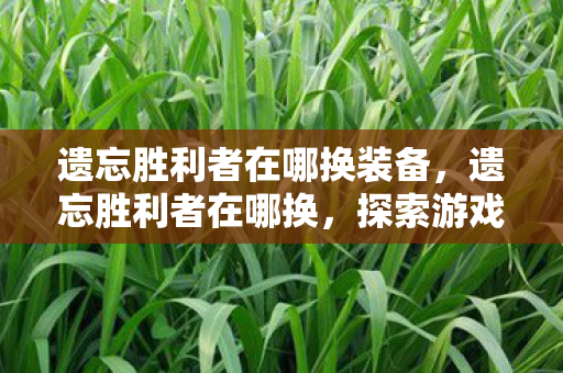 遗忘胜利者在哪换装备，遗忘胜利者在哪换，探索游戏内兑换的奥秘