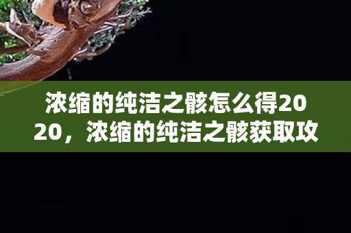 浓缩的纯洁之骸怎么得2020，浓缩的纯洁之骸获取攻略