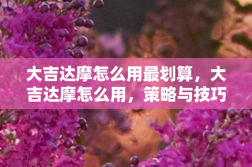 大吉达摩怎么用最划算，大吉达摩怎么用，策略与技巧
