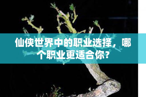 仙侠世界中的职业选择,哪个职业更适合你? 仙侠世界中的职业选择,哪个职业更适合你?