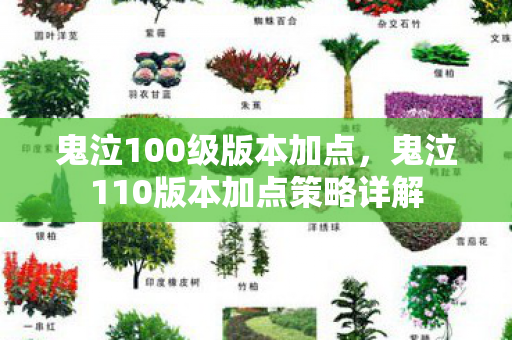 鬼泣100级版本加点，鬼泣110版本加点策略详解