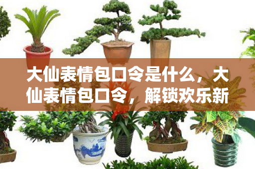 大仙表情包口令是什么，大仙表情包口令，解锁欢乐新方式