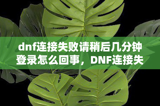 dnf连接失败请稍后几分钟登录怎么回事，DNF连接失败请稍后几分钟，探索官方服务器稳定性与玩家体验